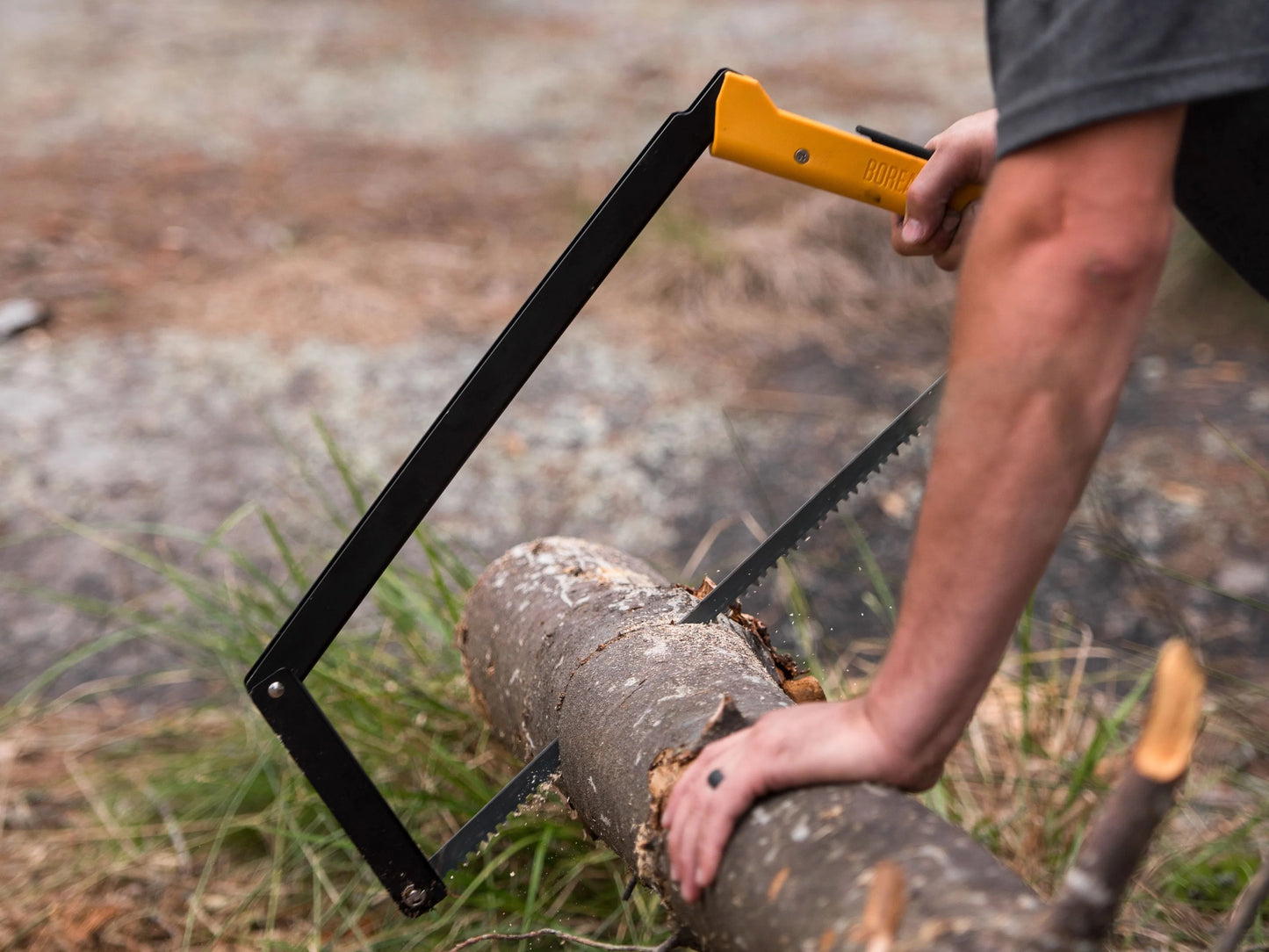 Folding Bow Saw - By Agawa Gear