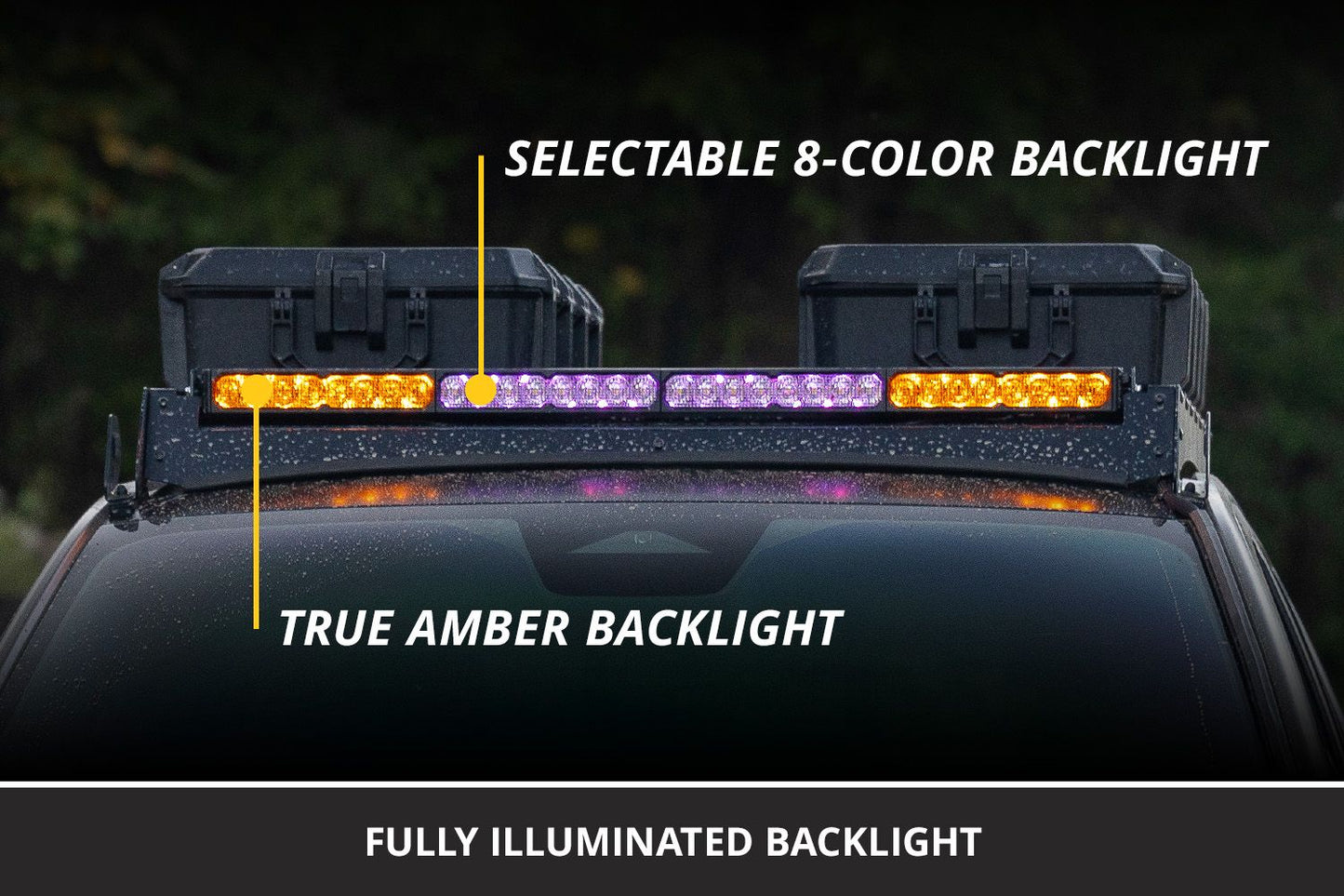 SS40 Dual-Color LED Light Bar - By Diode Dynamics