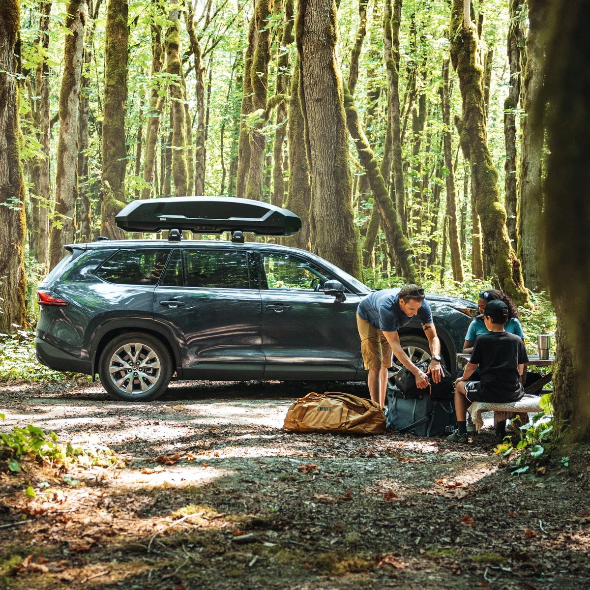 Force 3 Roof Box - by Thule