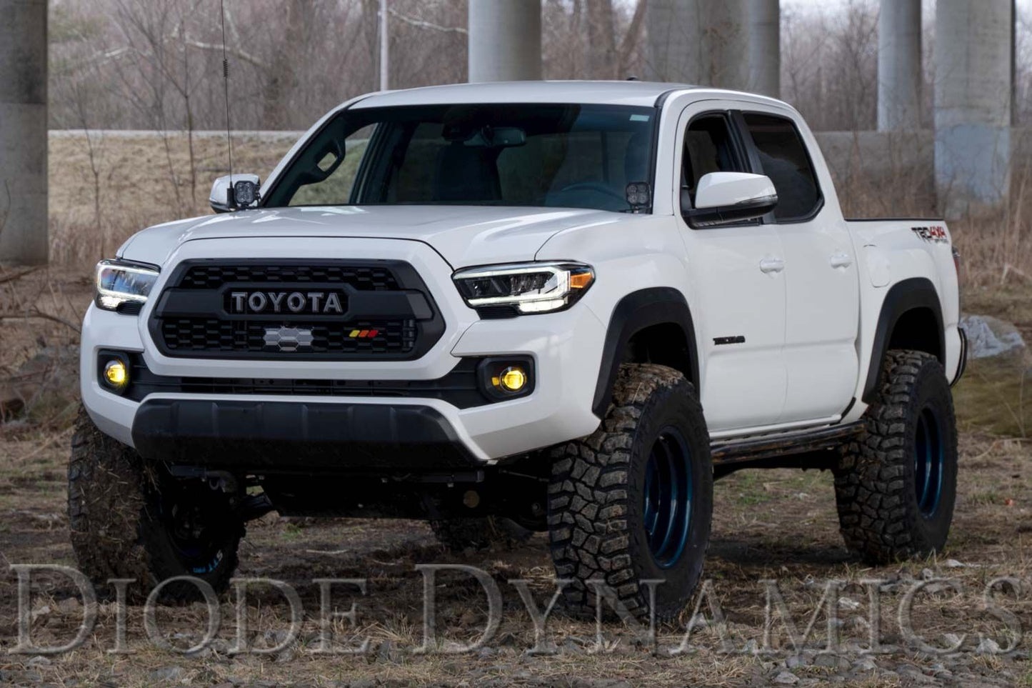 Elite Series Fog Lamps for 2012-2023 Toyota Tacoma (pair) - by Diode Dynamics